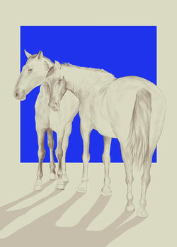 Wild Horses